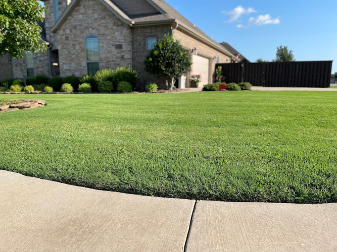 1st Impressions Lawn & Tree