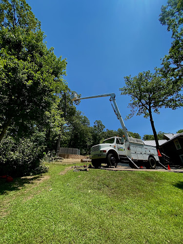 Ed's landscaping & Tree Care