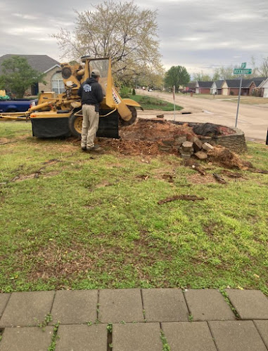 Estradaโs Tree & Landscaping LLC.