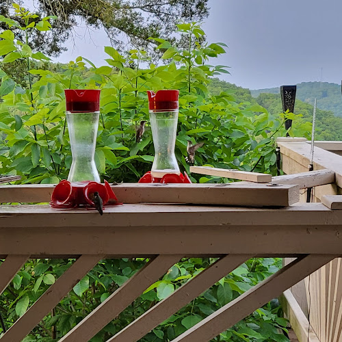 Beaver Lake Heavenly Hideaway