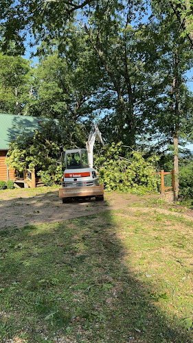 Mini-Excavation and Tree Services