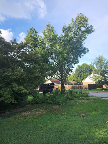 NWA BROTHERS TREE SERVICE