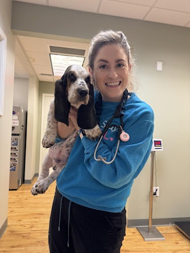 Dogwood Trails Animal Hospital