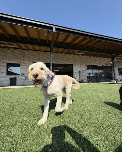 Hounds Lounge Pet Resort and Spa - Rogers